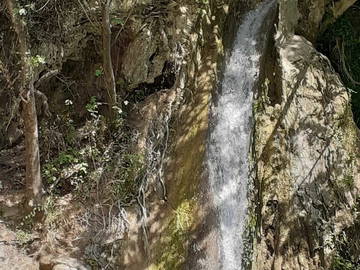 Chambre Chez L'habitant Marseille 240499-4