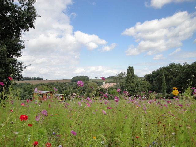 Bed And Breakfast Saint-Salvy  29386