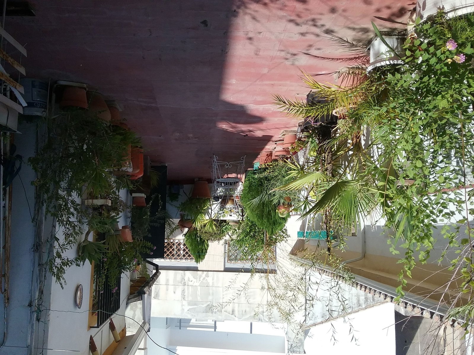 Bed And Breakfast Córdoba 183891