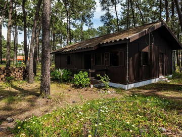 Roomlala | In The Woods Near Beaches