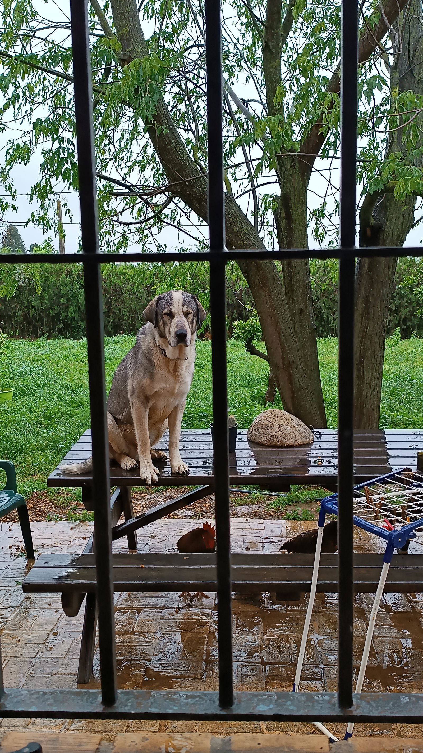 Unabhängiges Studio Villanueva del Ariscal 174807