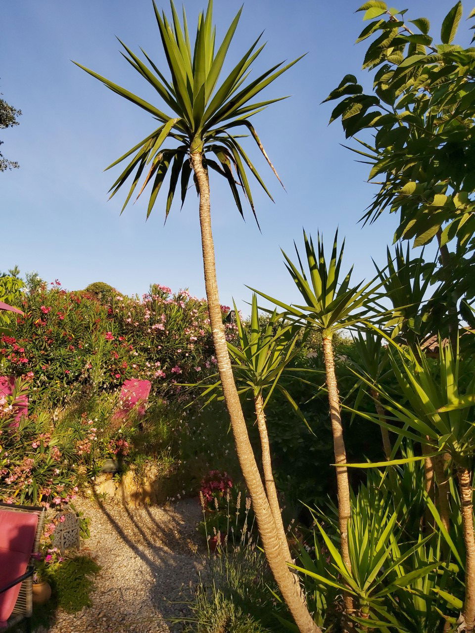 Tutta La Casa Vidauban 204165