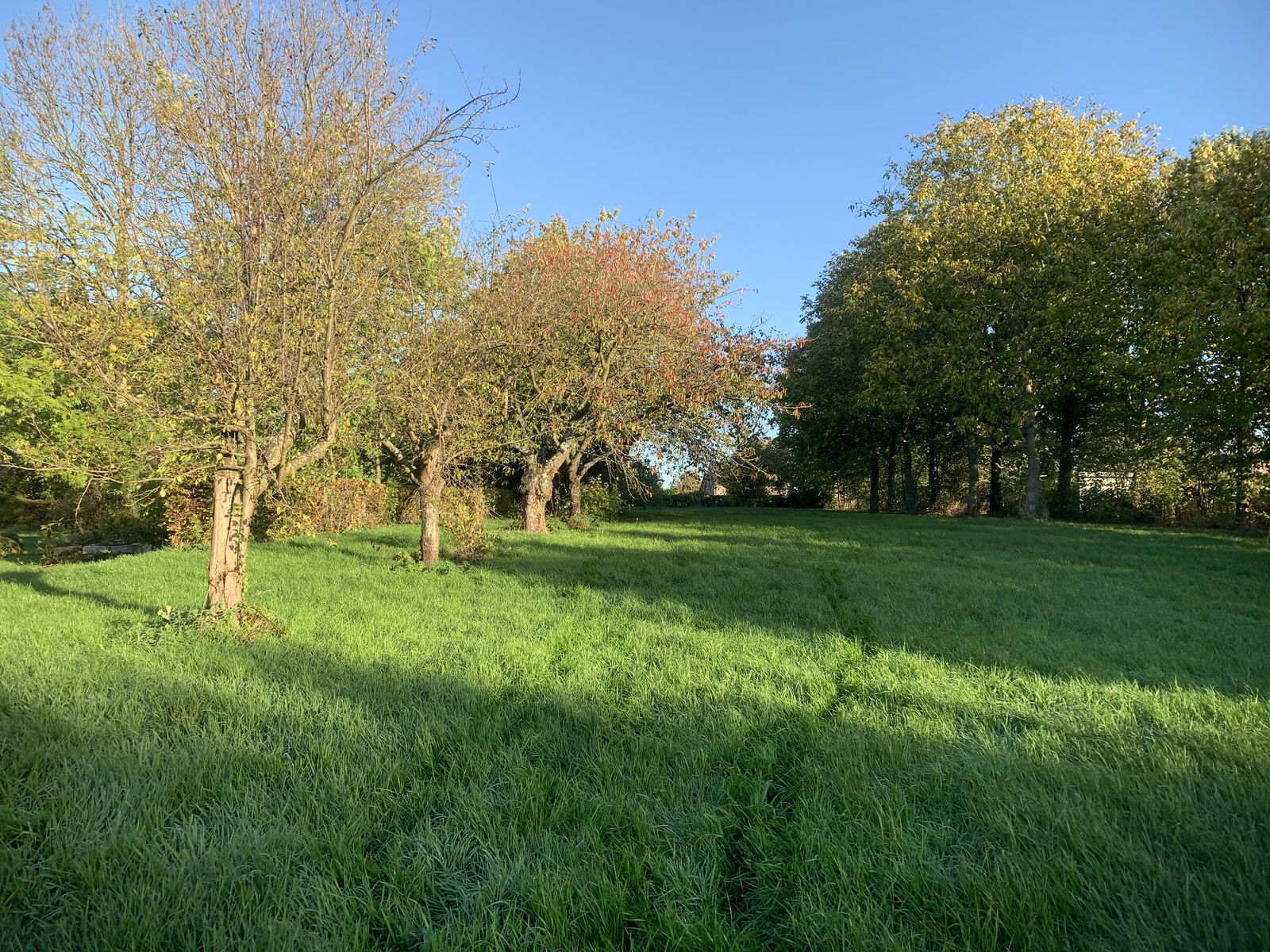 Famiglia Juprelle 302882