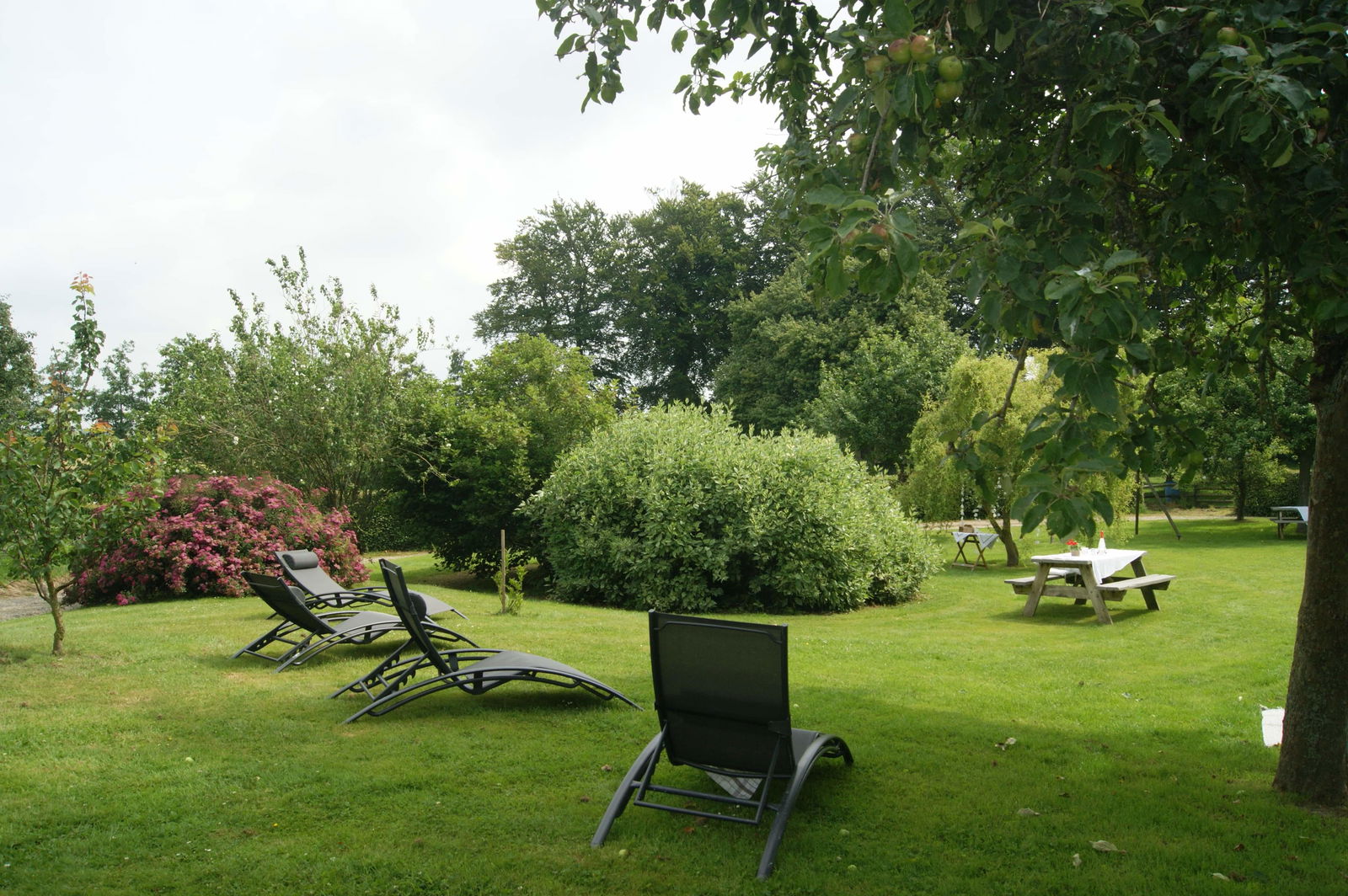 Tutta La Casa Bretteville du Grand Caux 66095