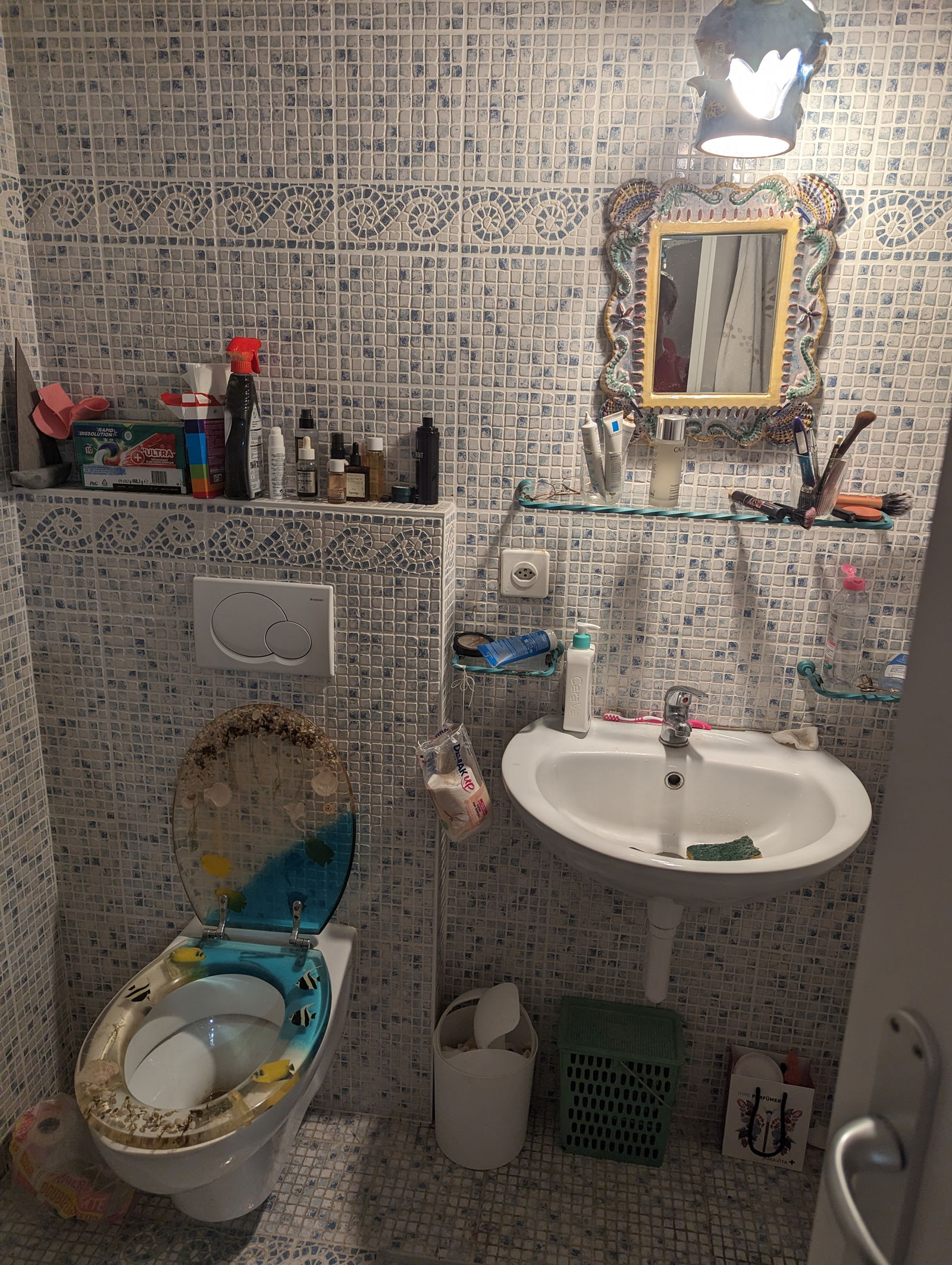 Tutta La Casa Versoix 433388