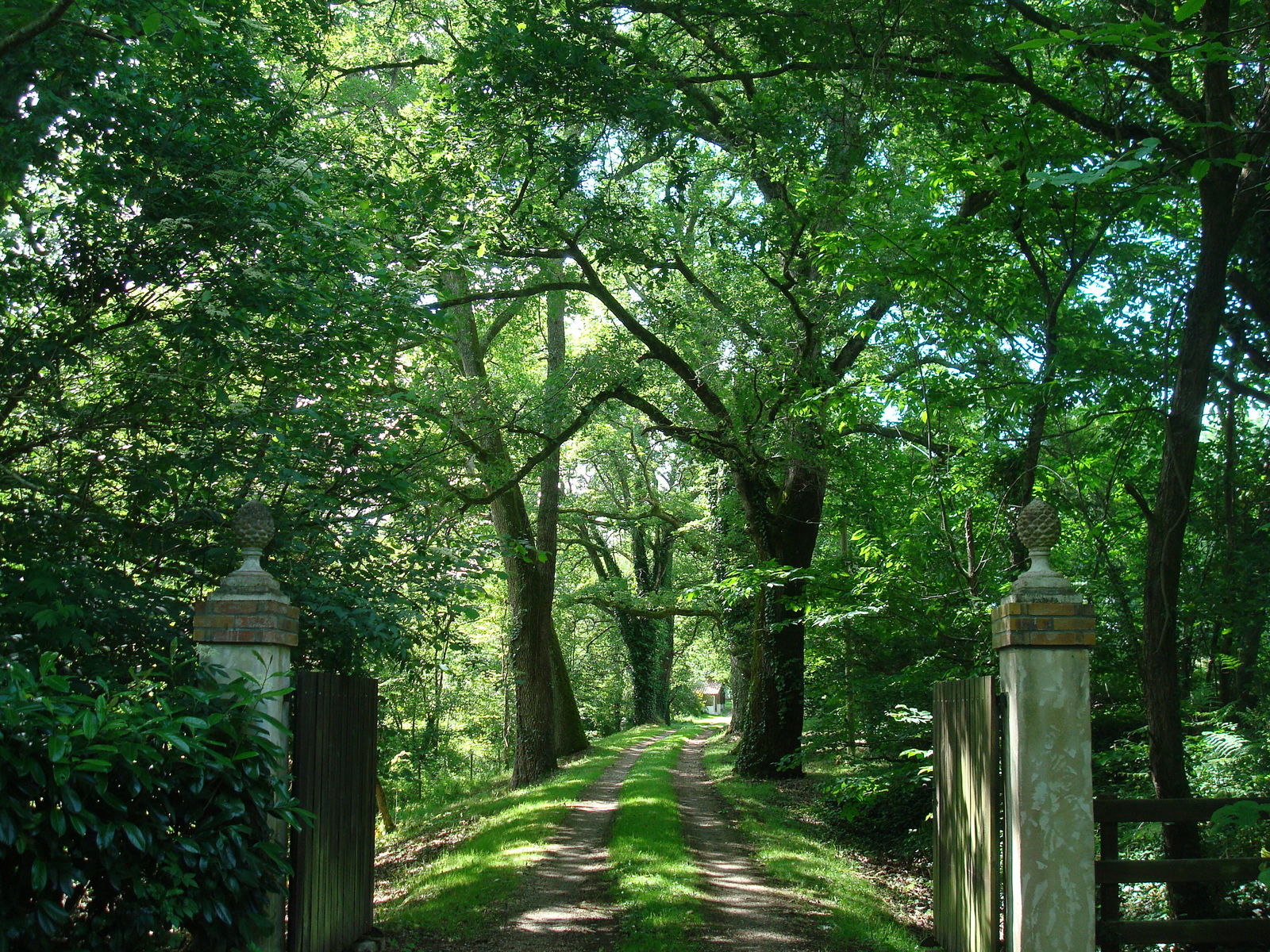 Camere Per Gli Ospiti Lacquy 85469