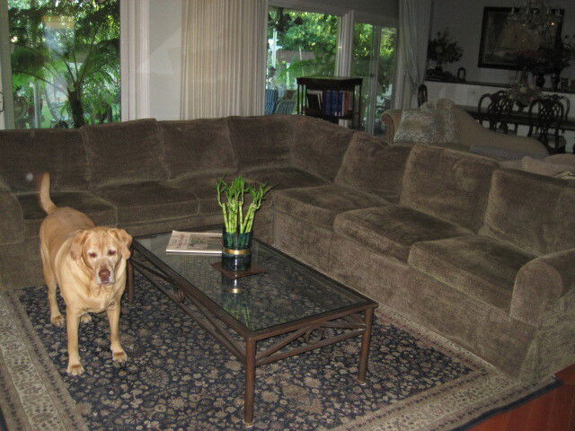 Famiglia Los Angeles 191688