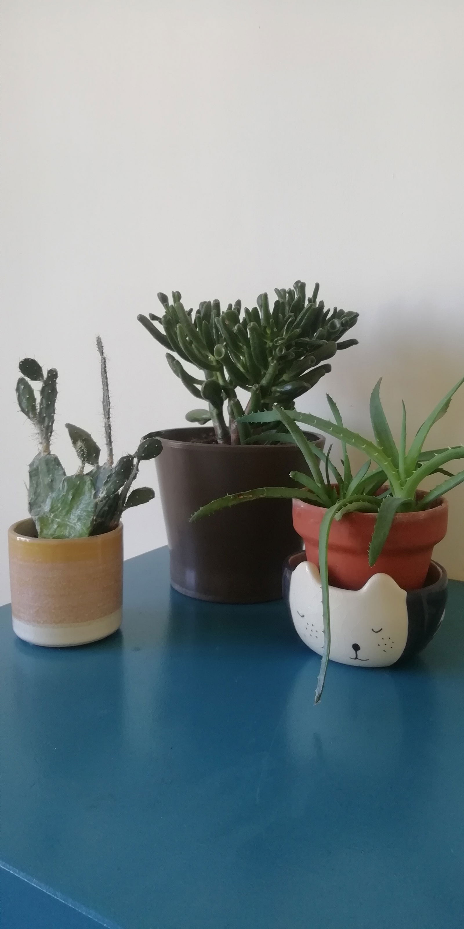 Chambre Chez L'habitant Clichy 253555