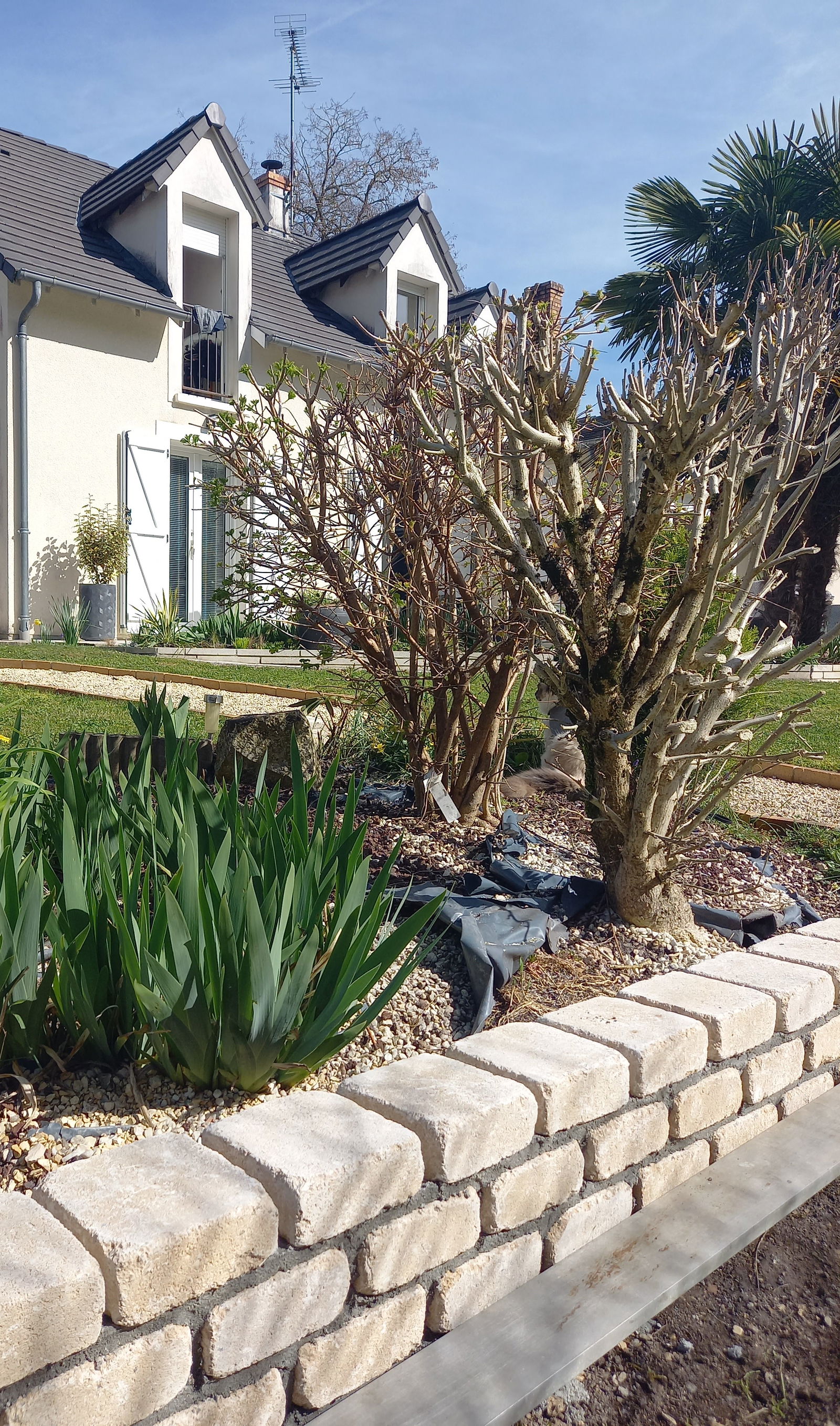 Homestay Bourges 262594