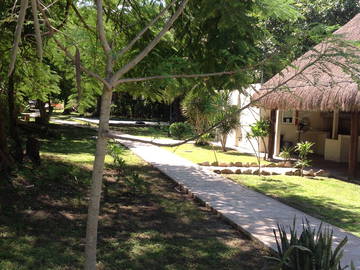 Homestay Playa Del Carmen 255728-6