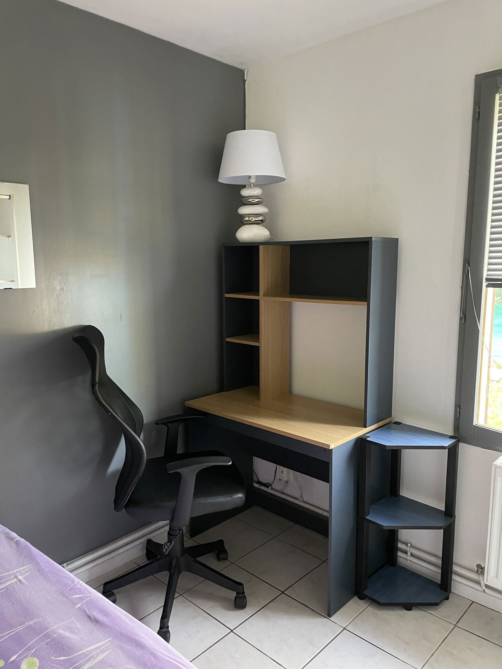 Homestay Saint-Orens-de-Gameville 91546