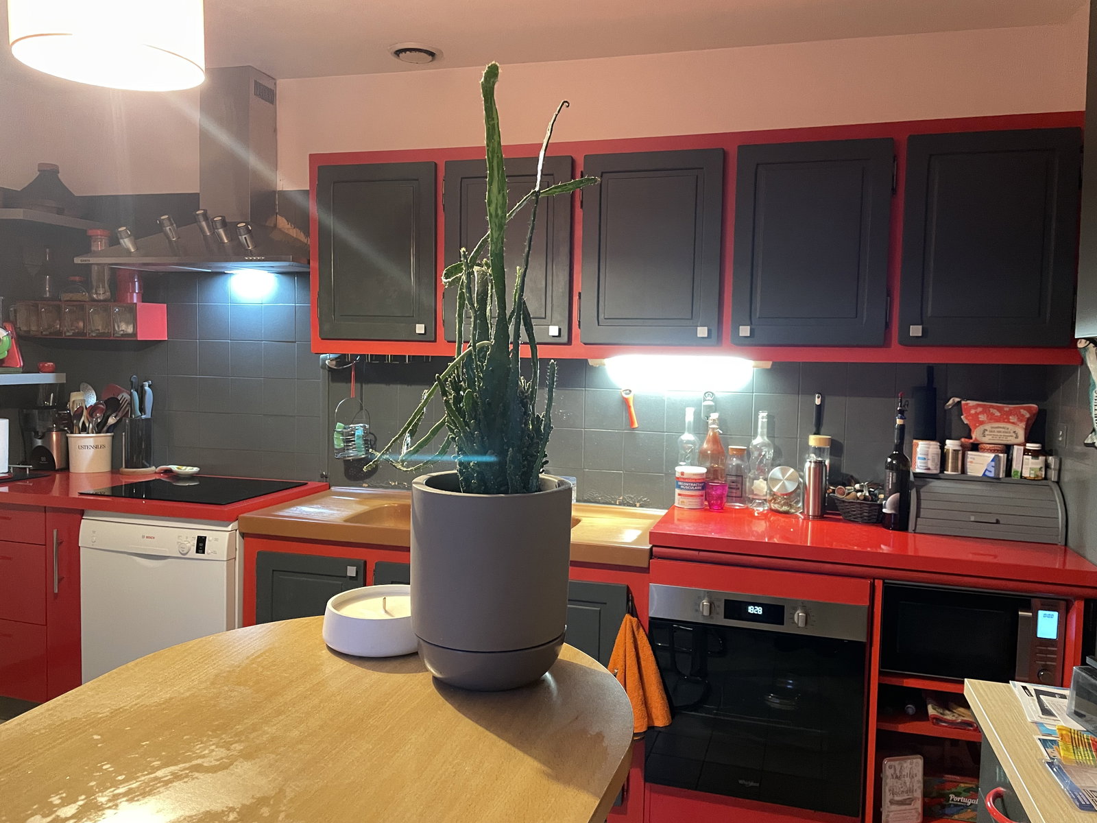 Homestay Saint-Orens-de-Gameville 91546