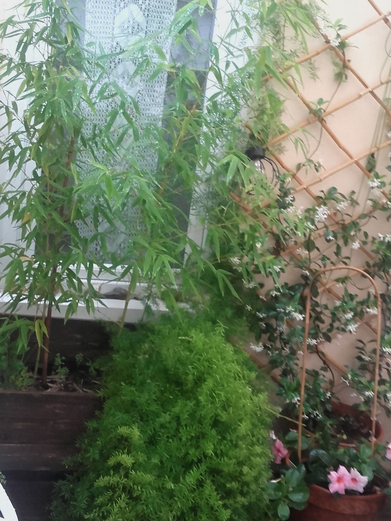 Entire Home Sète 97319