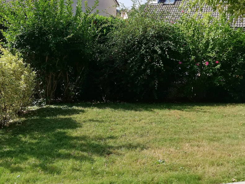 Homestay Fourqueux 109147-5