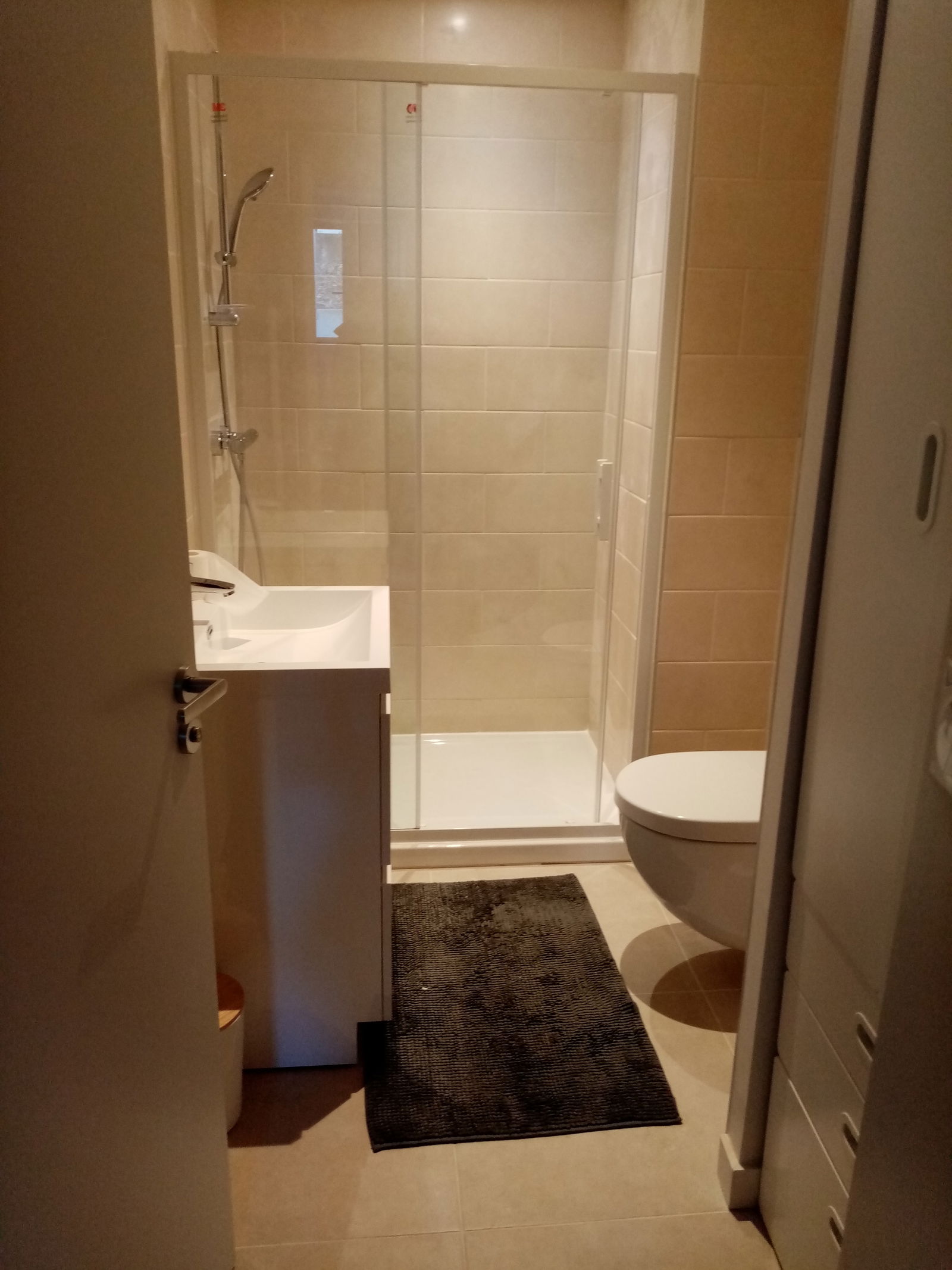 Entire Home Caluire-et-Cuire 246905