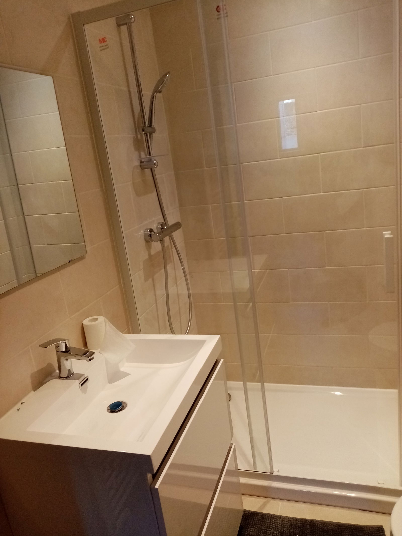 Entire Home Caluire-et-Cuire 246905