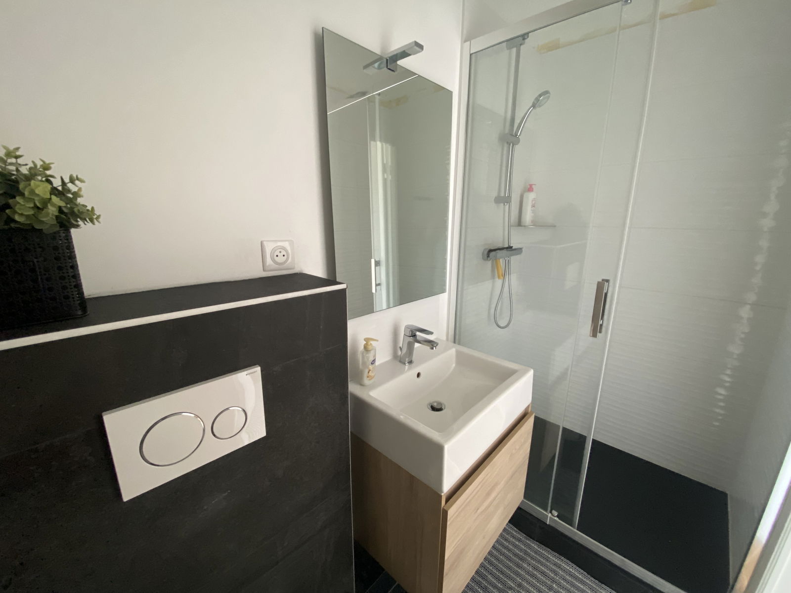 Entire Home Saint-Didier-au-Mont-d'Or 180362