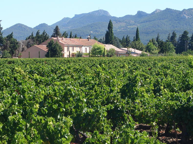 Toda La Casa Jonquières 96745-1