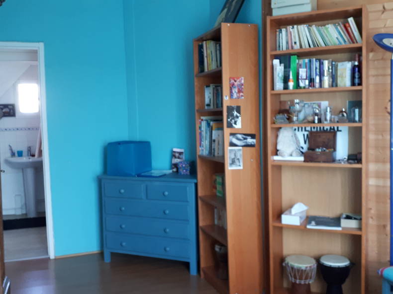 Kolokasie Angers 255255-1