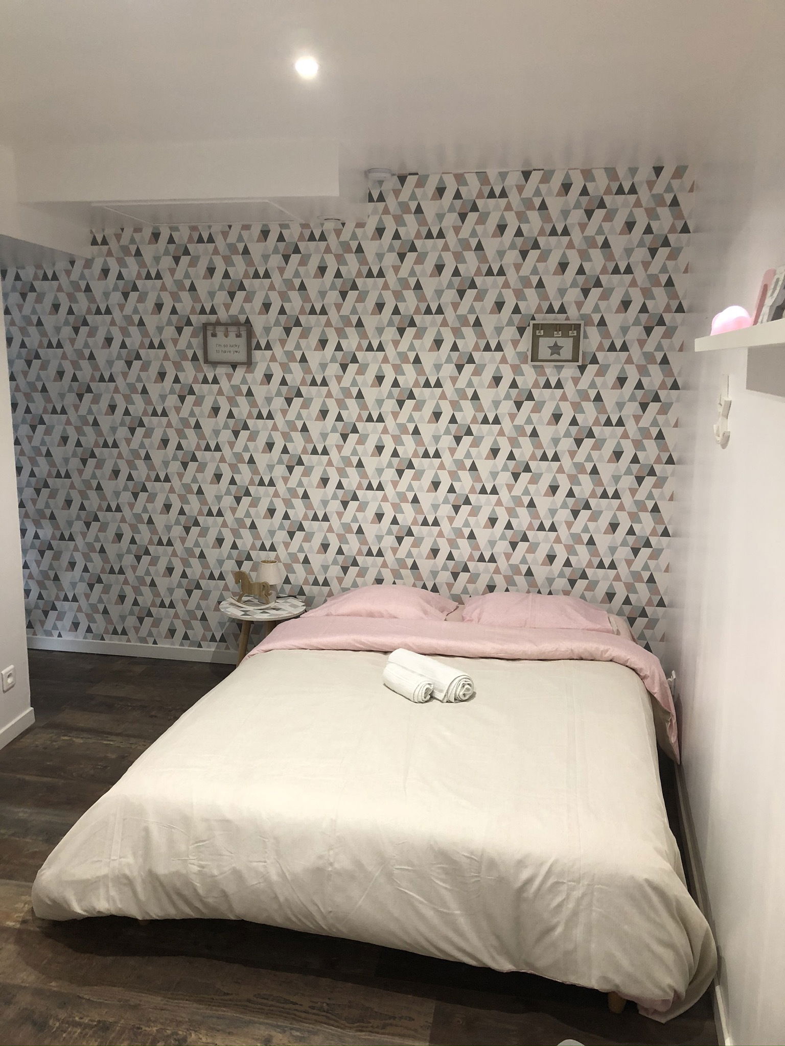 Entire Home Saint-Jean-de-Thouars 250040