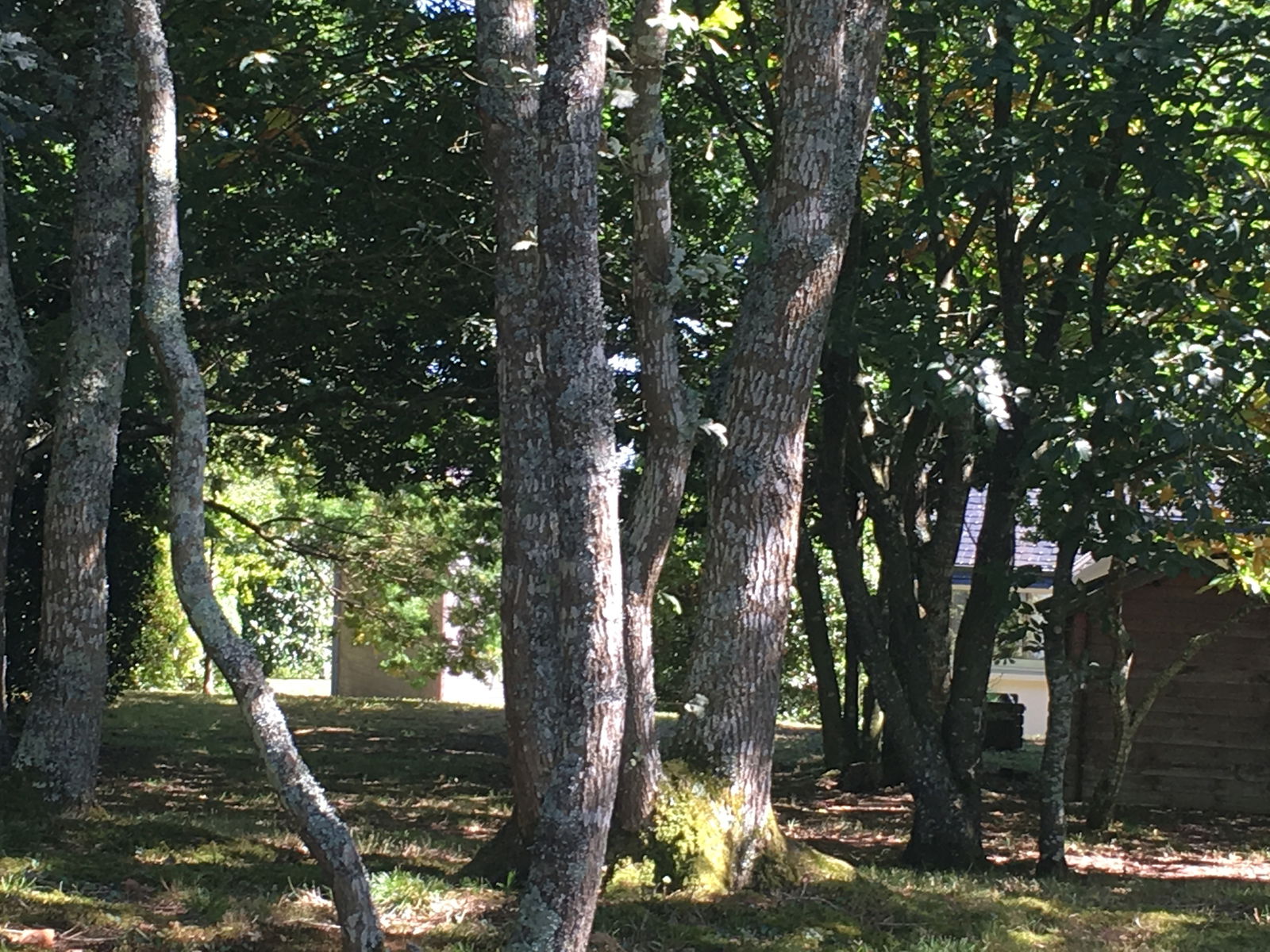 Homestay Loperhet 229172