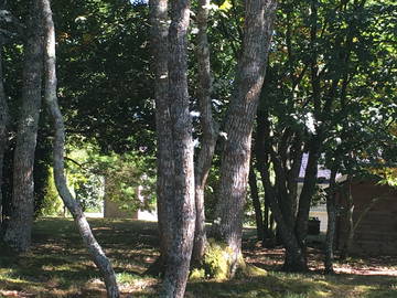 Chambre Chez L'habitant Loperhet 229172-9