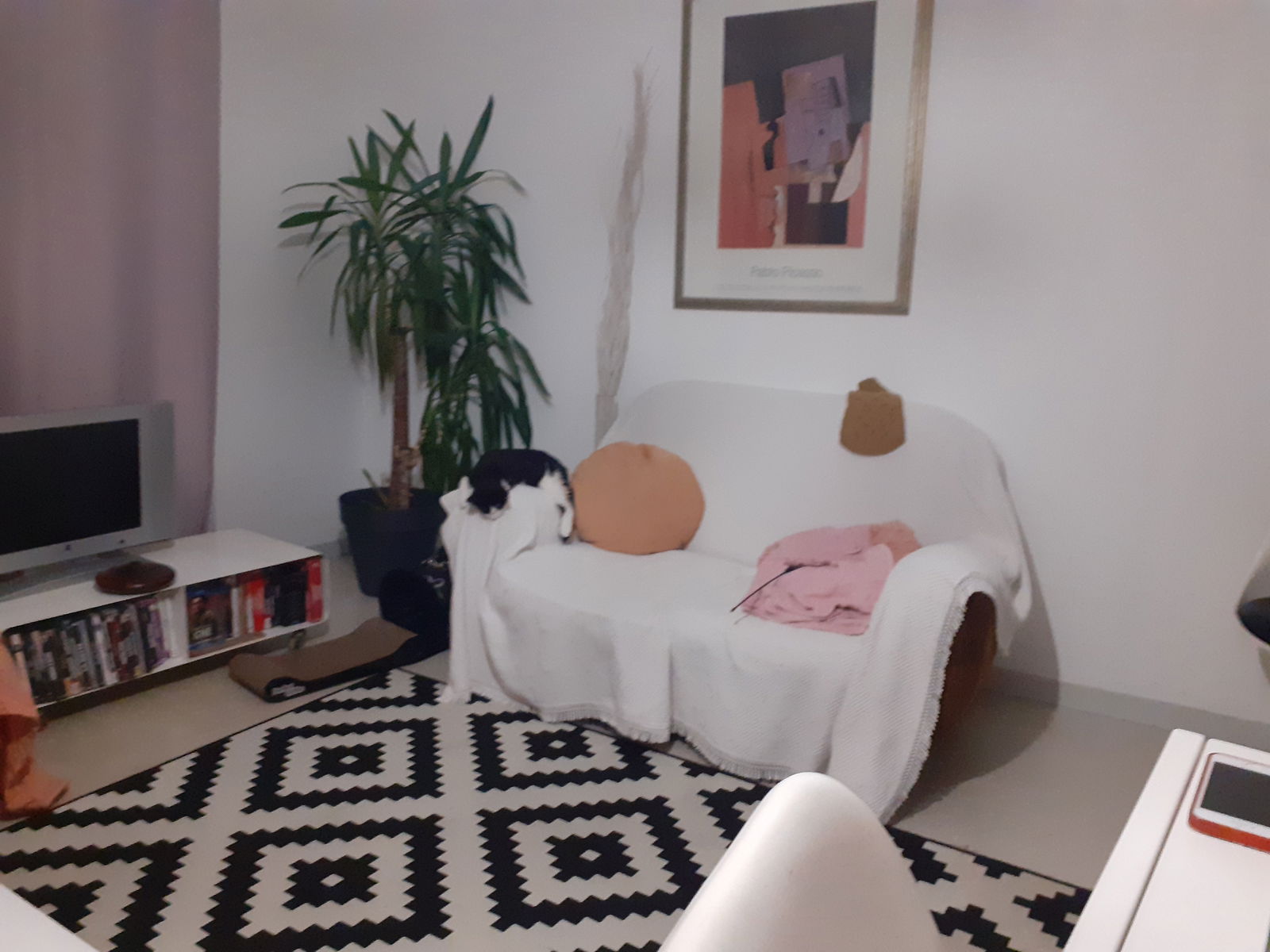 Homestay Bordeaux 260705