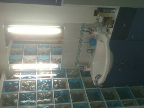 Chambre Chez L'habitant Paris 52007-3