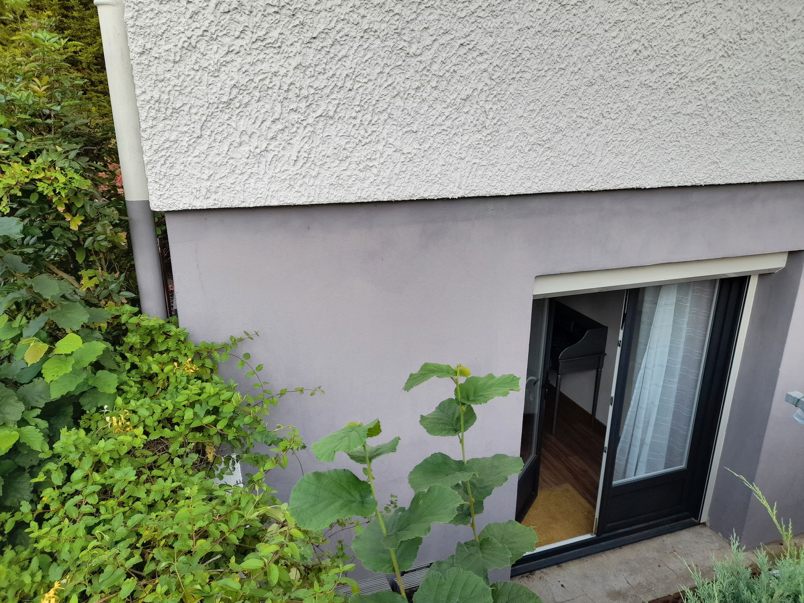 Homestay Champagne-au-Mont-d'Or 252161