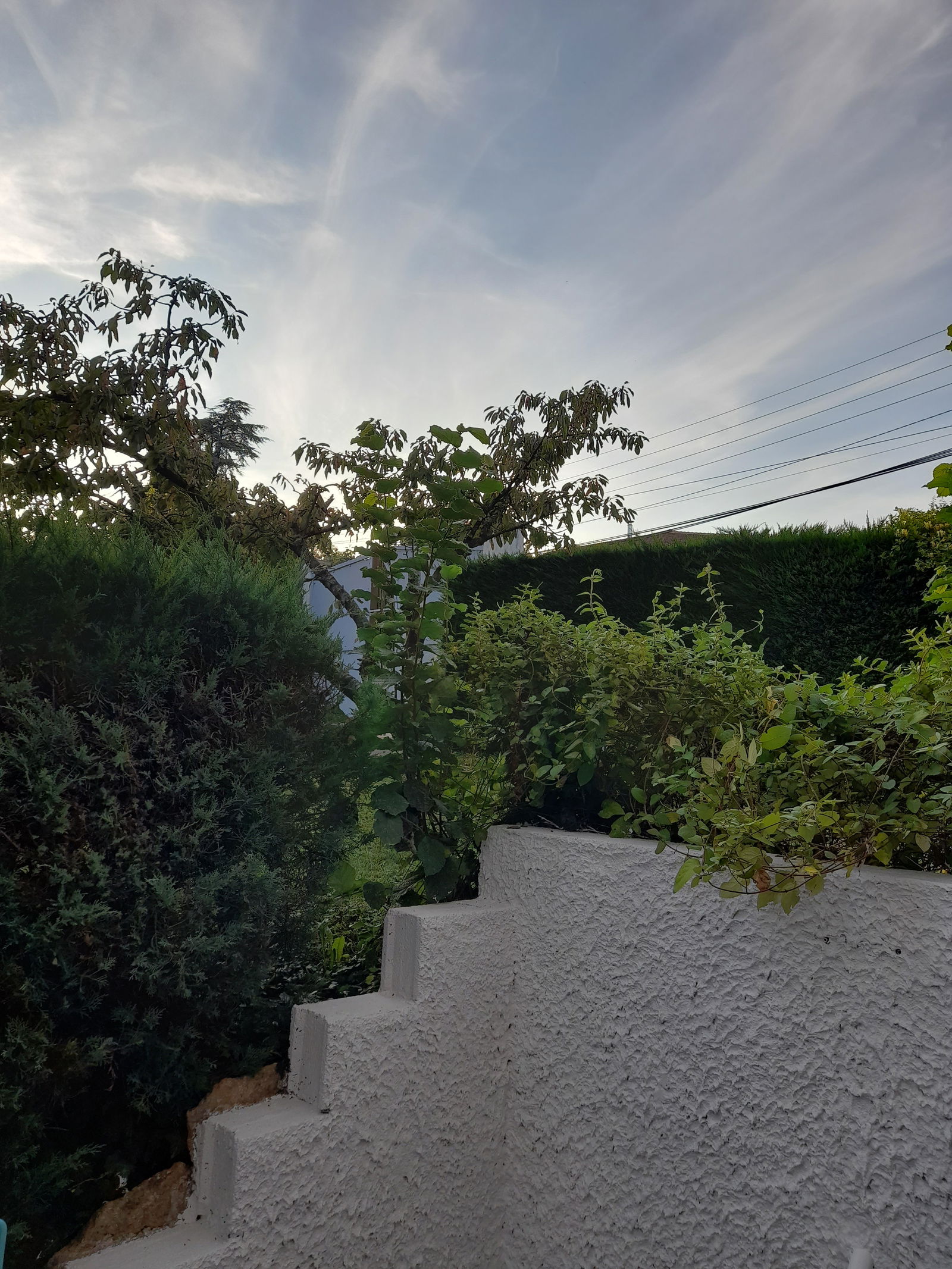 Homestay Champagne-au-Mont-d'Or 252161