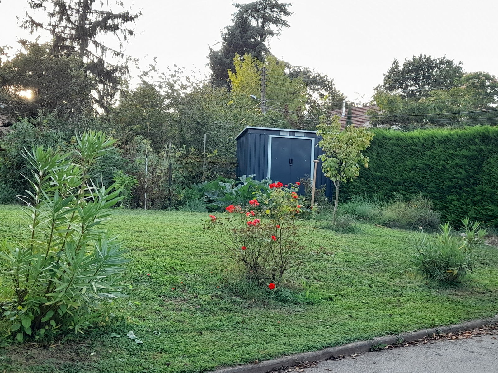 Homestay Champagne-au-Mont-d'Or 252161