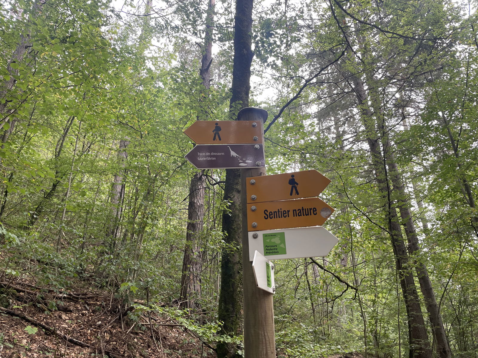 Homestay Moutier 295757