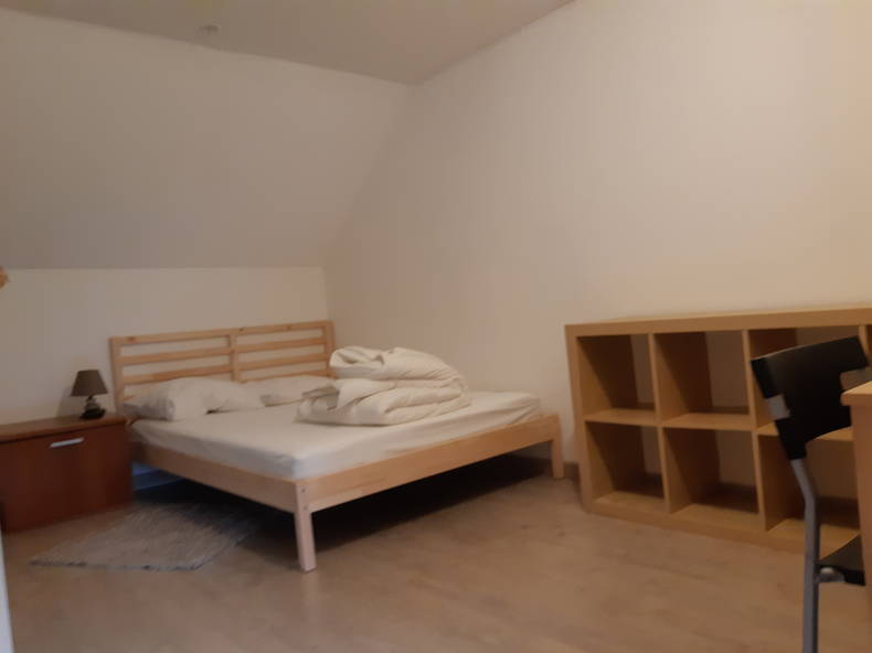 Kolokasie Reuil-sur-Brèche 210218-2