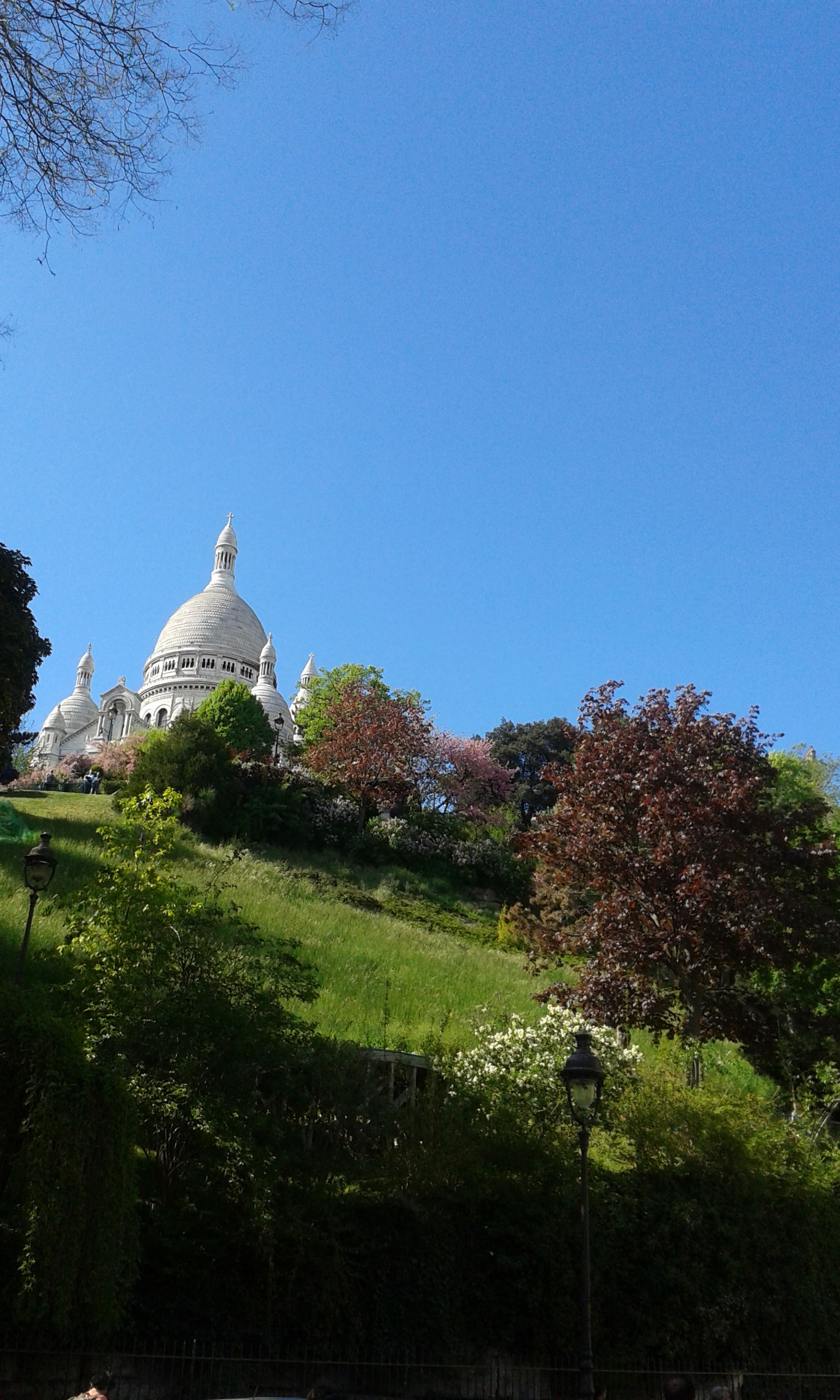 Homestay Paris 42101