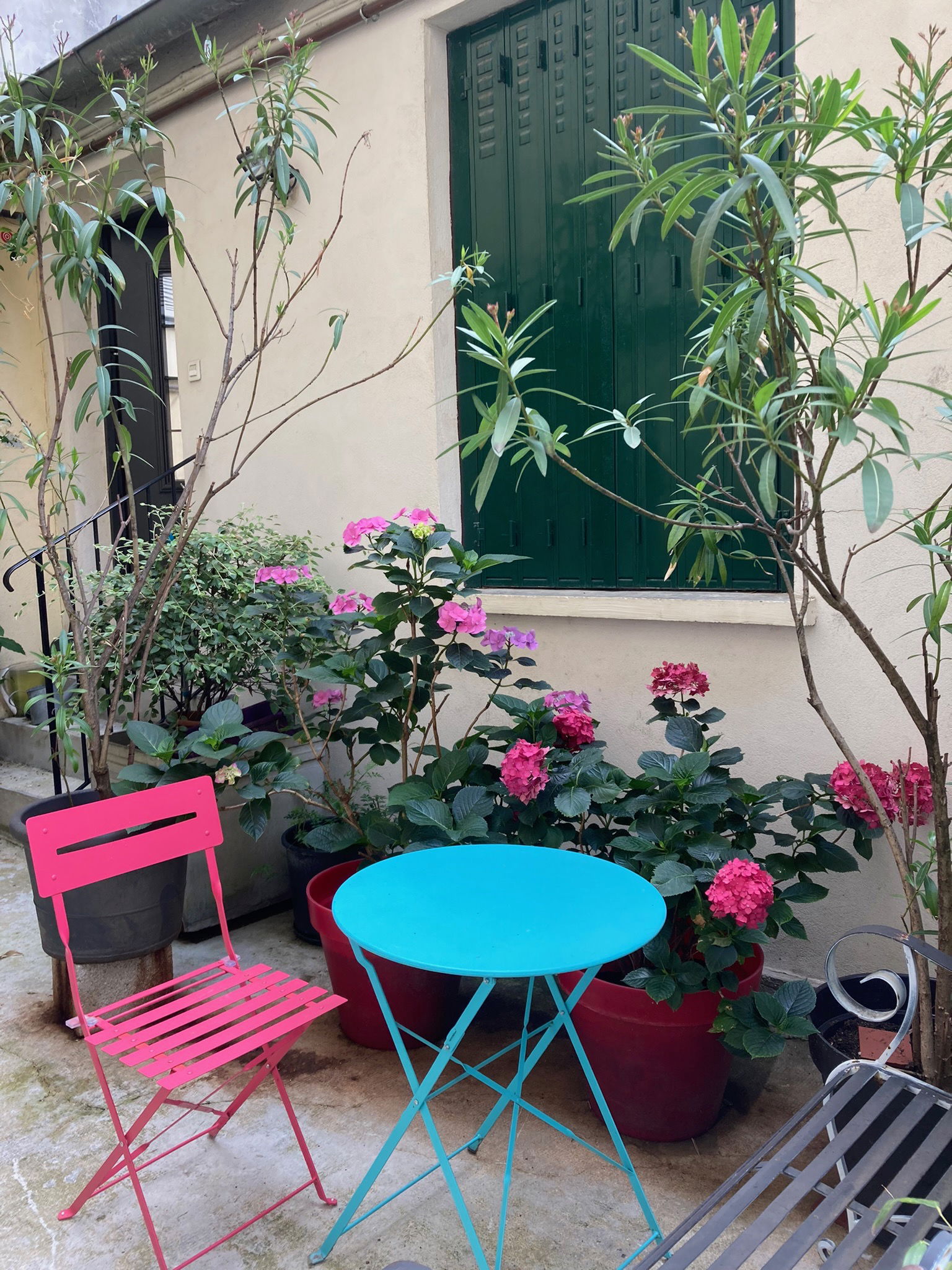 Homestay Paris 42101