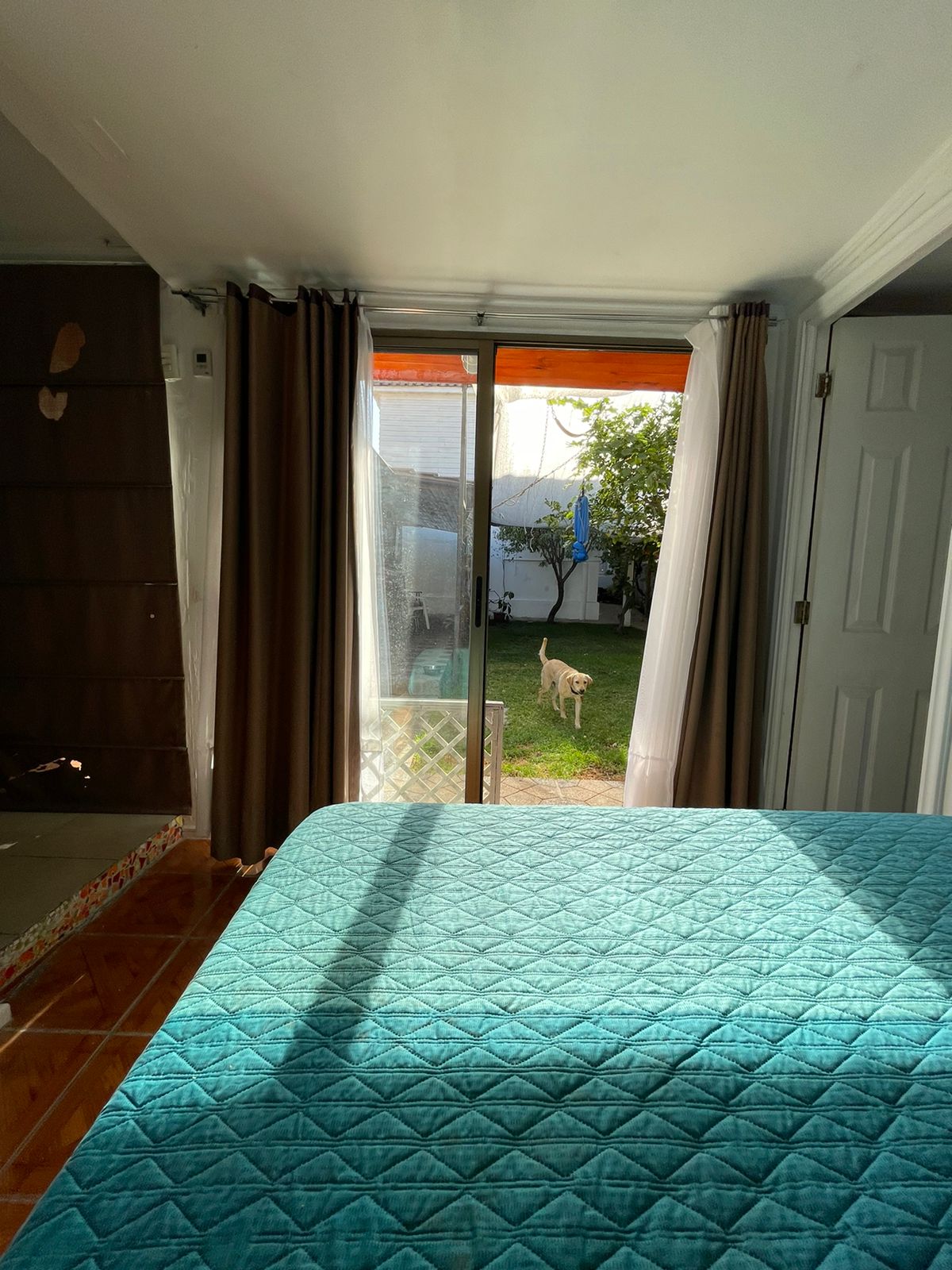 Homestay Providencia 256184