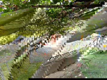 Chambre Chez L'habitant Providencia 256184-6