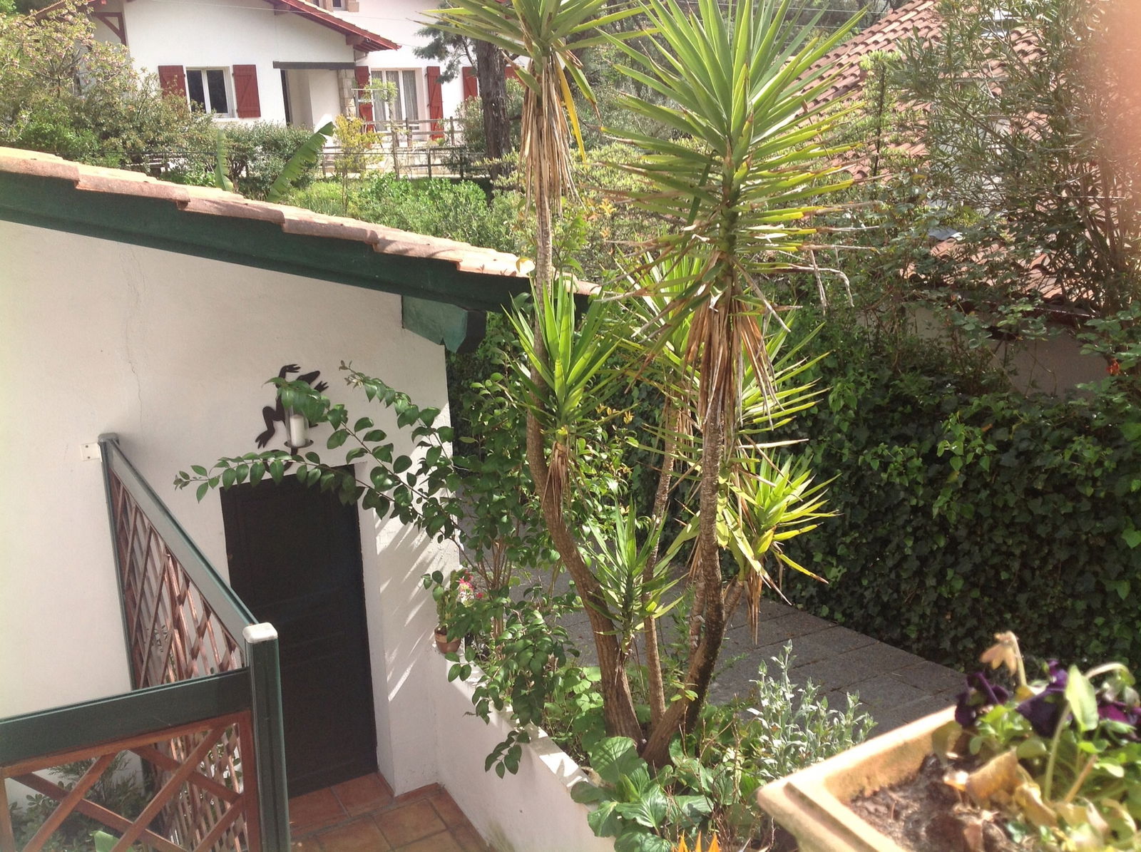 Homestay Saint-Jean-de-Luz 50103