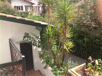 Room For Rent Saint-Jean-De-Luz 50103