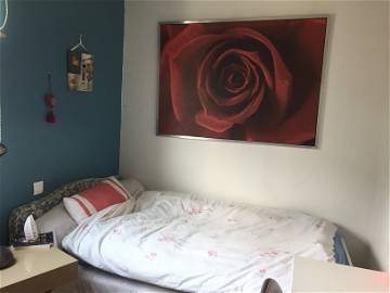 Room For Rent Mérignac 31022-1