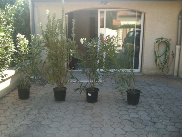 Independent Studio Venissieux 12914