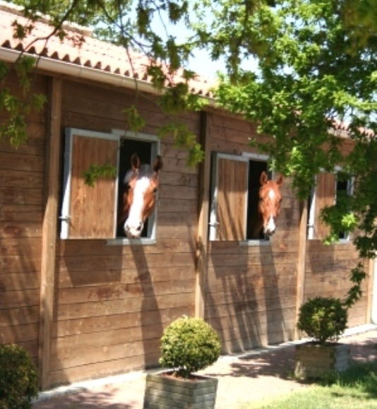 Homestay Sallertaine 62848