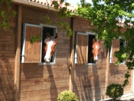 Quedarse En Casa Sallertaine 62848-3