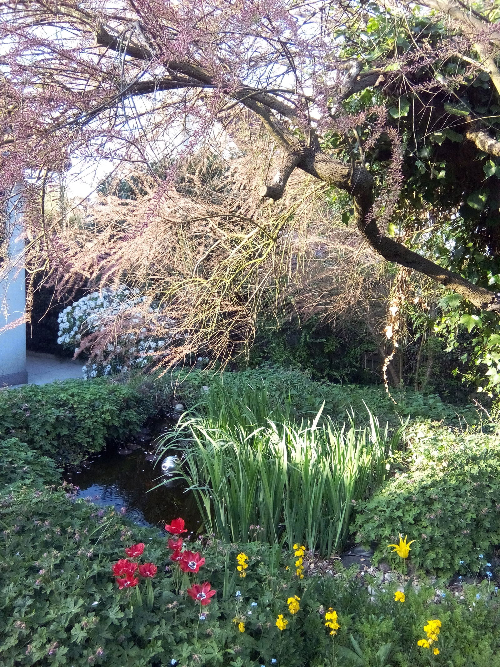 Homestay Bry-sur-Marne 102069