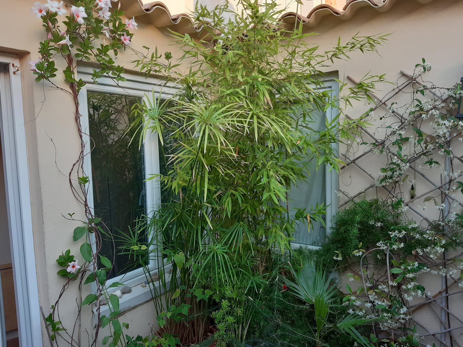 Entire Home Sète 78245