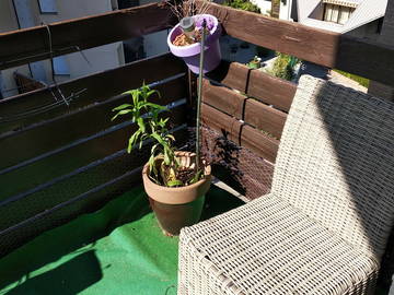 Chambre Chez L'habitant Gap 241123-6