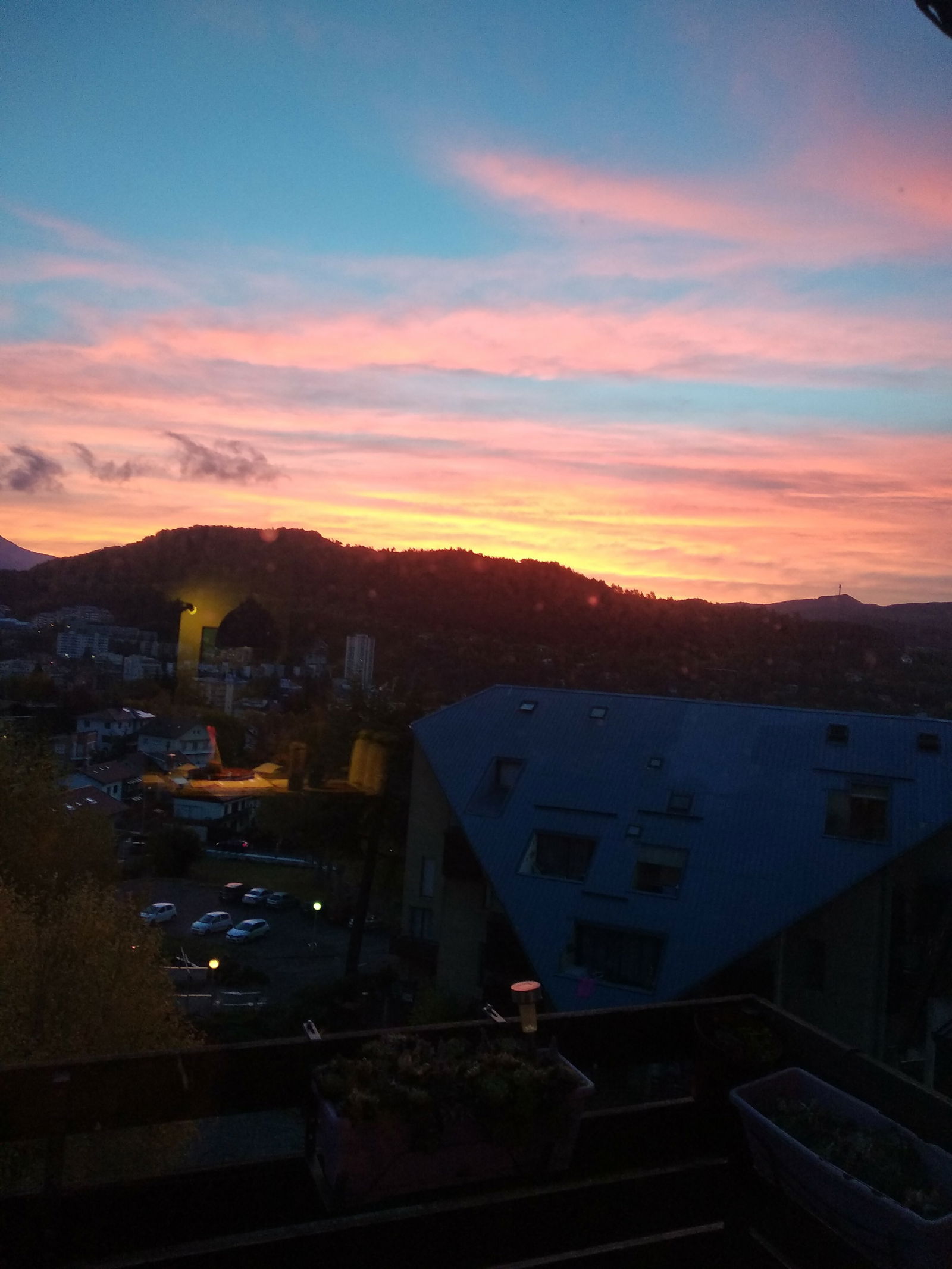 Gastfamilie Gap 241123