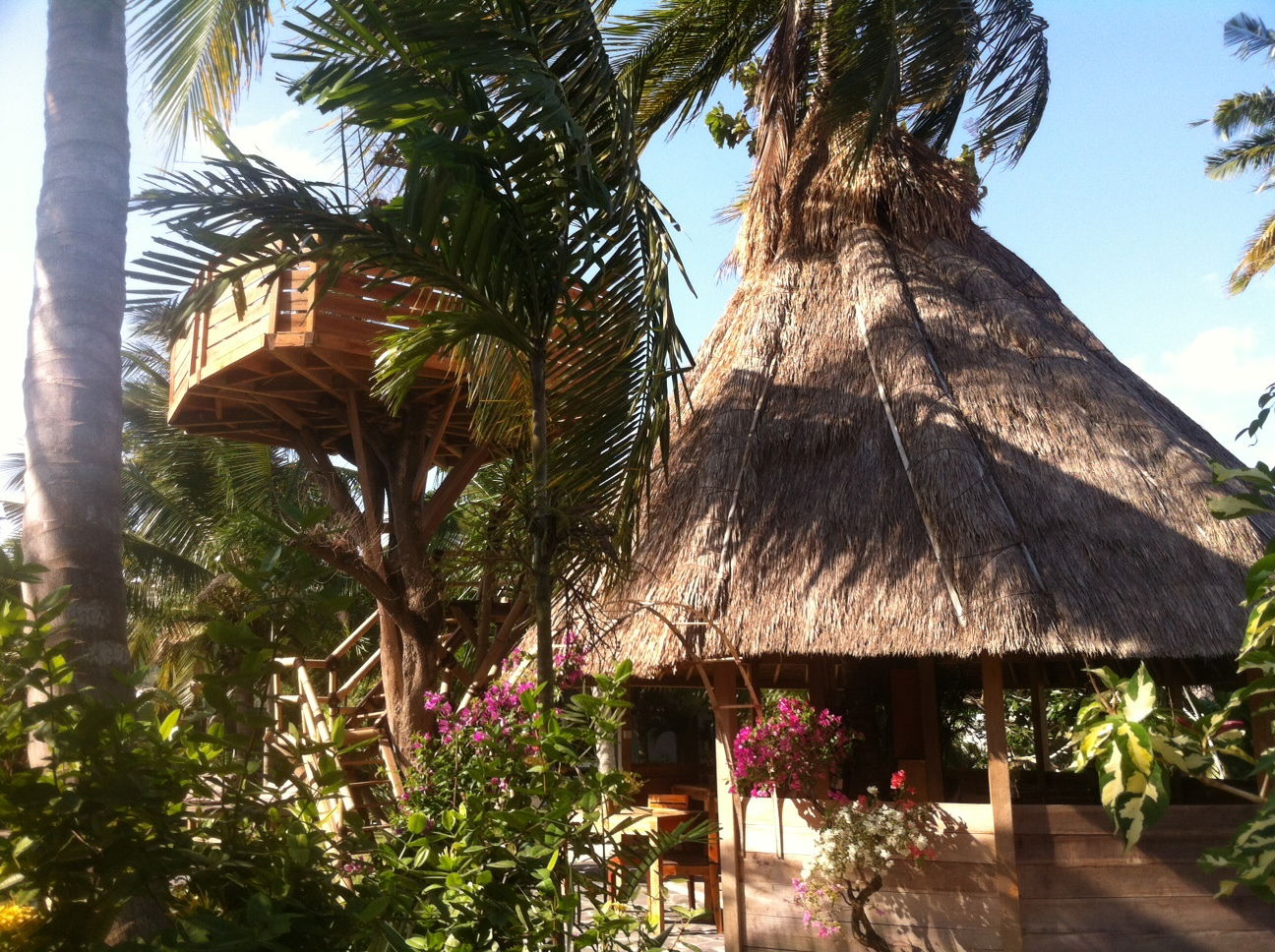 Bed And Breakfast Nusa Tenggara Barat 197110