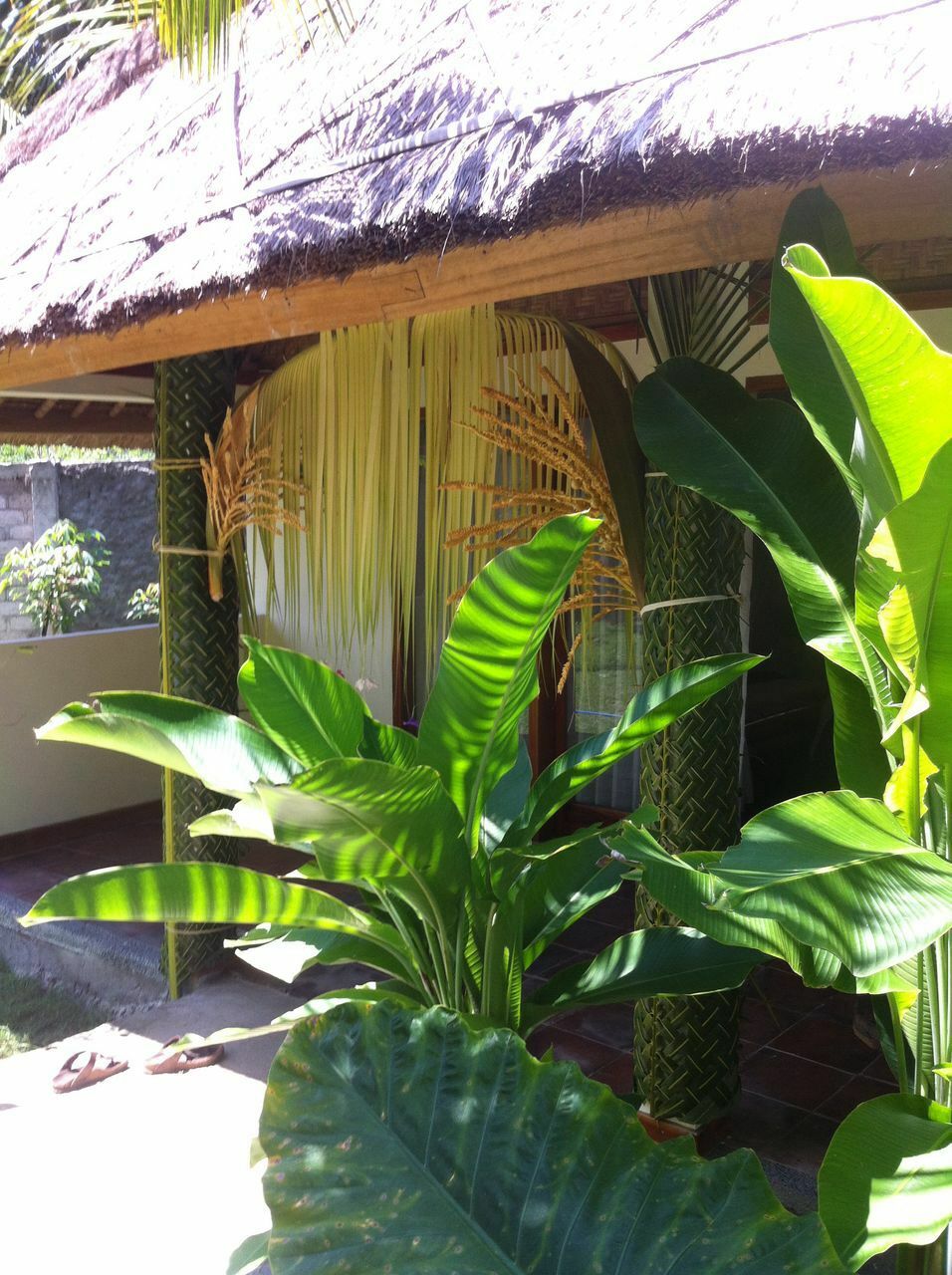 Bed And Breakfast Nusa Tenggara Barat 197110