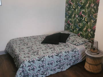 Chambre À Louer Lyon 309675